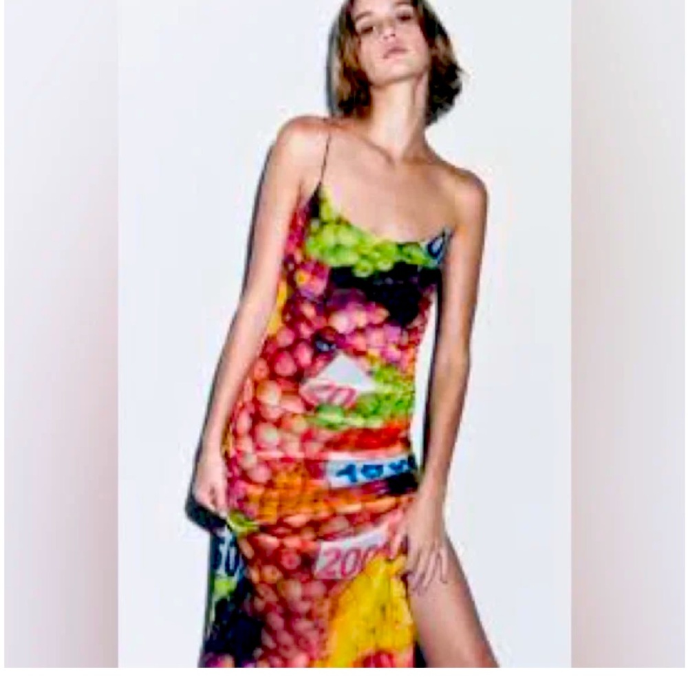 Zara Fruit Stand Mesh Maxi Slip Dress New W Tags Size S
